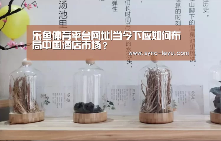 乐鱼体育平台网址|当今下应如何布局中国酒店市场?(图2) 乐鱼体育平台网址