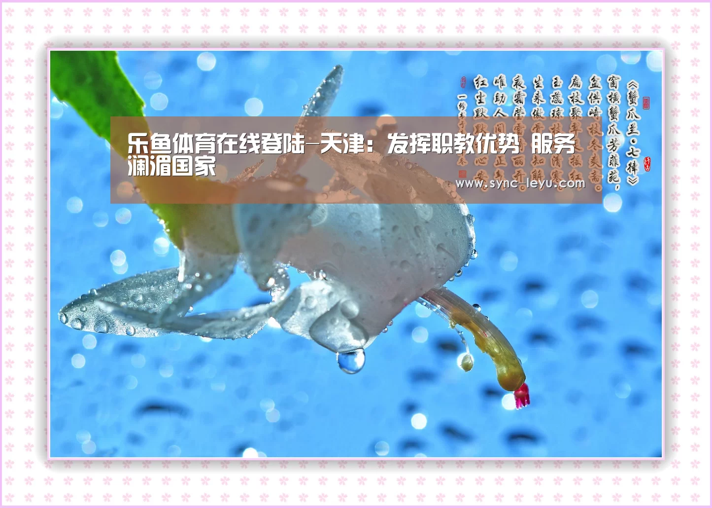 乐鱼体育在线登陆-天津:发挥职教优势 服务澜湄国家(图3) 乐鱼官方网站下载