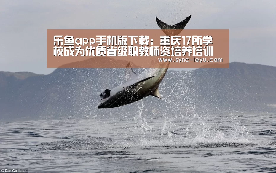 乐鱼app手机版下载